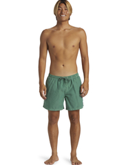 Quiksilver - EVERYDAY SURFWASH VOLLEY 15 - badeshorts - frosty spruce - 4