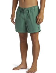 Quiksilver - EVERYDAY SURFWASH VOLLEY 15 - swim shorts - frosty spruce - 5