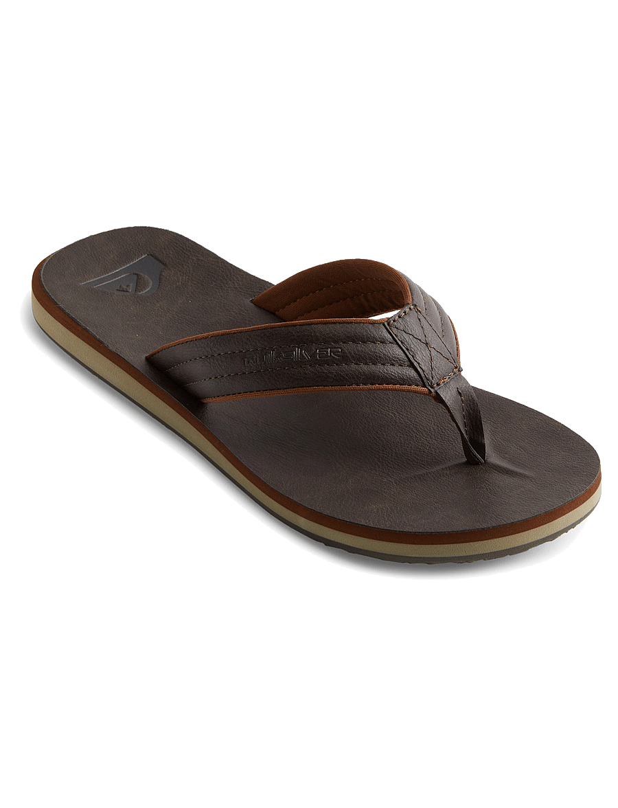 Quiksilver - CARVER NUBUCK - shoes - demitasse - solid - 0
