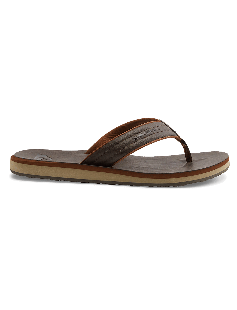 Quiksilver - CARVER NUBUCK - shoes - demitasse - solid - 1