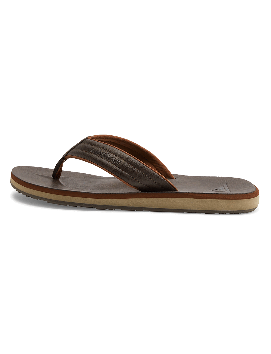 Quiksilver - CARVER NUBUCK - shoes - demitasse - solid - 3