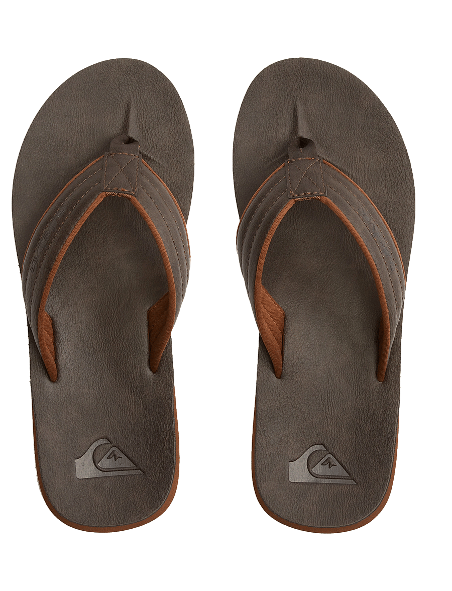 Quiksilver - CARVER NUBUCK - shoes - demitasse - solid - 4
