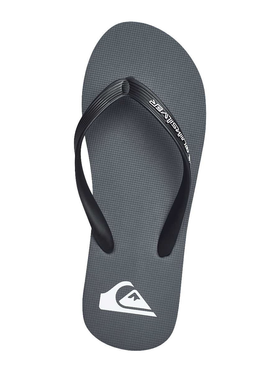 Quiksilver - MOLOKAI CORE - flip flops - grey 1 - 3