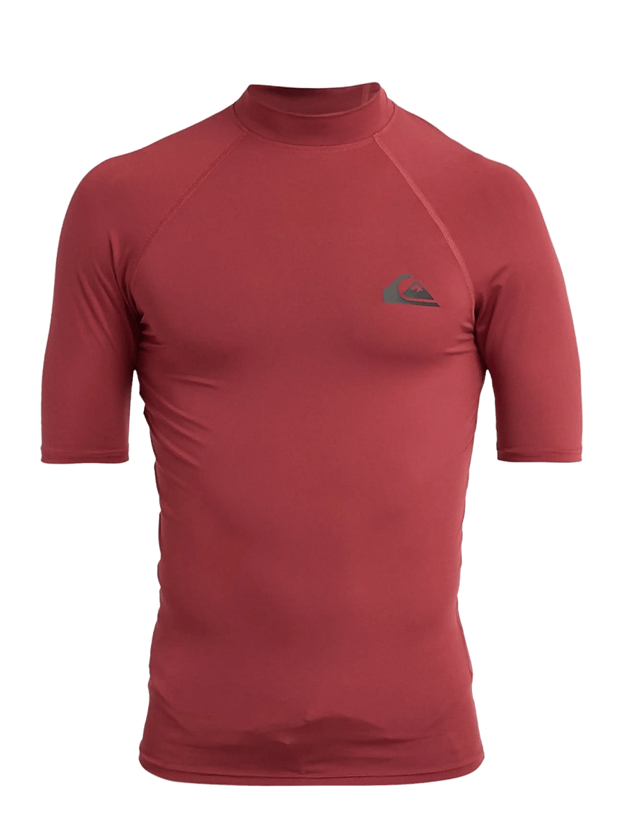 Quiksilver - EVERYDAY UPF50 SS - t-shirts - burnt russet - 1