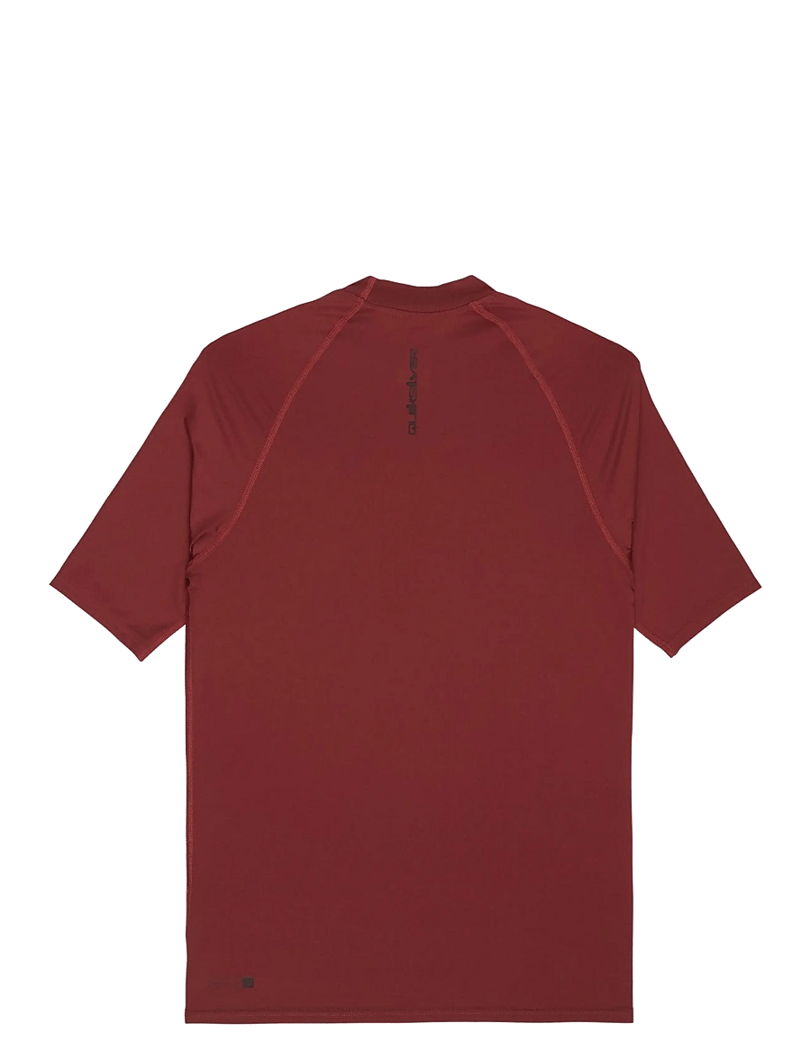 Quiksilver - EVERYDAY UPF50 SS - t-shirts - burnt russet - 2
