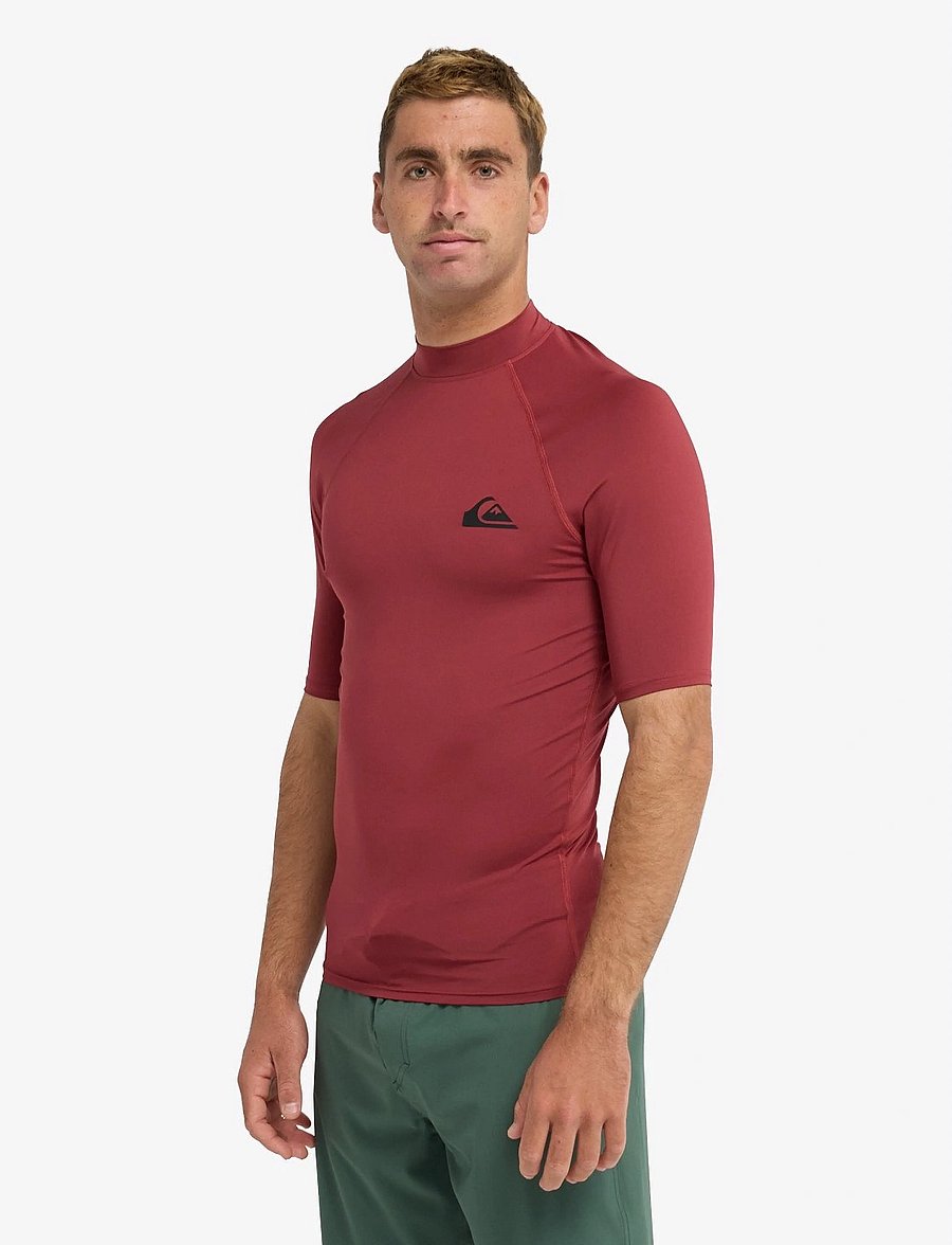 Quiksilver - EVERYDAY UPF50 SS - t-shirts - burnt russet - 4