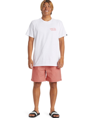 Quiksilver - TAXER - treningsshorts - canyon clay - 4