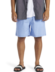 Quiksilver - TAXER - sports shorts - hydrangea - 2