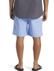Quiksilver - TAXER - sports shorts - hydrangea - 3