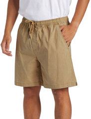 Quiksilver - TAXER - sports shorts - khaki - 6