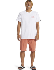Quiksilver - EVERYDAY UNION LIGHT - trainingsshorts - canyon clay - 4
