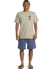 Quiksilver - TROPICAL BREEZE MOR - lowest prices - plaza taupe - 4