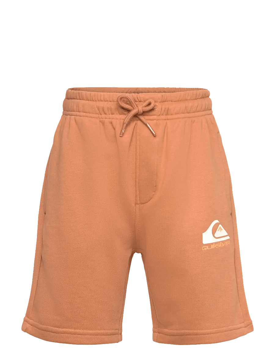 Quiksilver - EASY DAY JOGGER SHORT YOUTH - sweatshorts - bran - 0