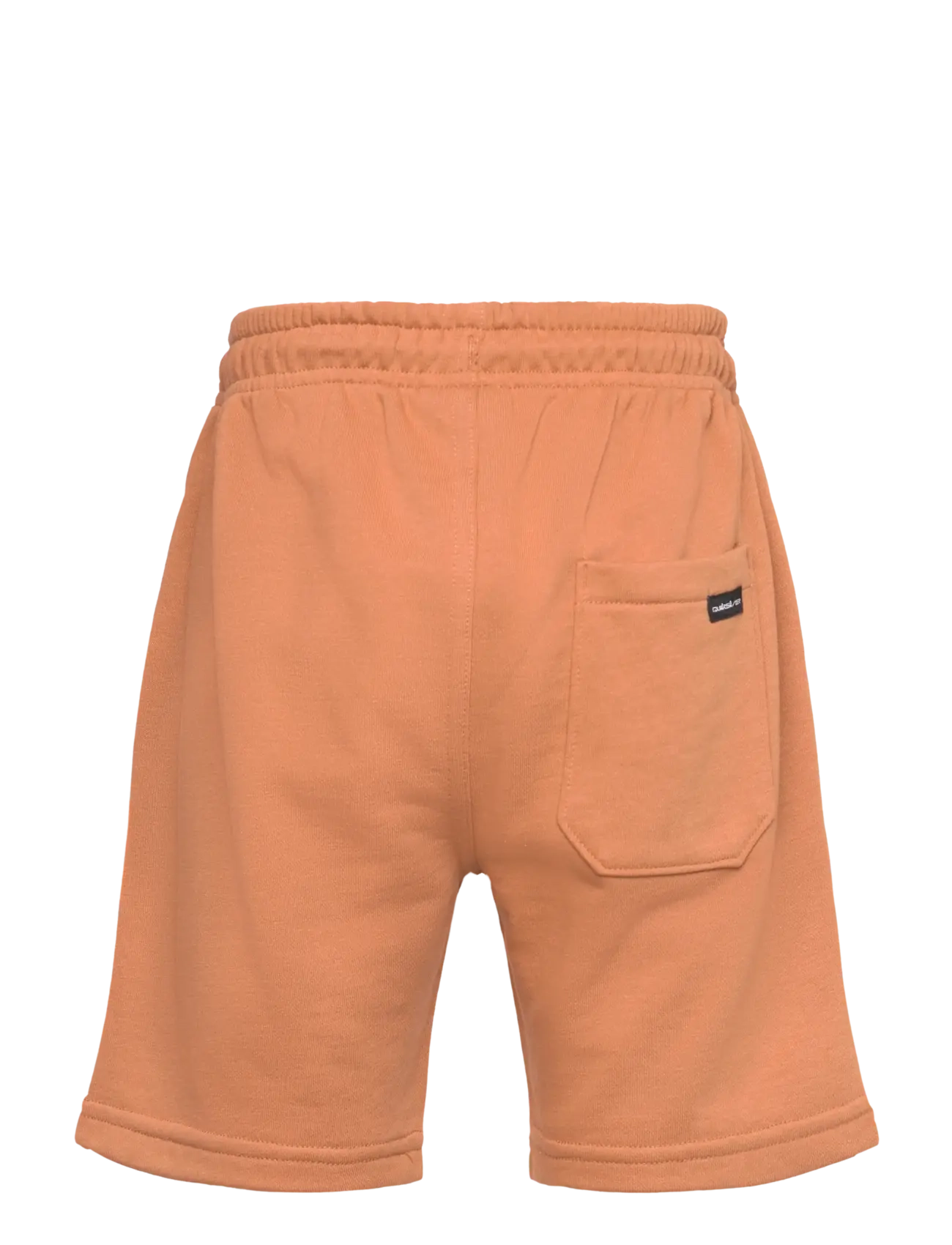 Quiksilver - EASY DAY JOGGER SHORT YOUTH - sweatshorts - bran - 1