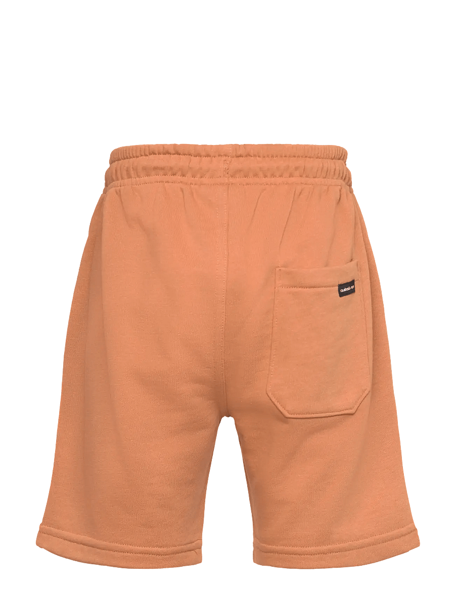 Quiksilver - EASY DAY JOGGER SHORT YOUTH - sweatshorts - bran - 1