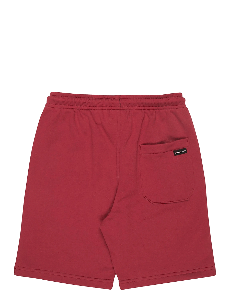 Quiksilver - EASY DAY JOGGER SHORT YOUTH - shorts en molleton - burnt russet - 1
