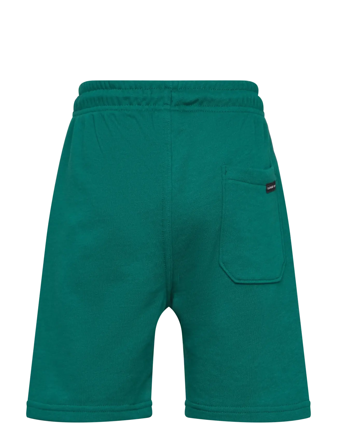 Quiksilver - EASY DAY JOGGER SHORT YOUTH - treninginiai šortai - teal green - 1