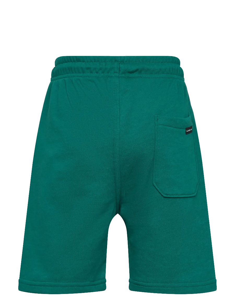 Quiksilver - EASY DAY JOGGER SHORT YOUTH - treninginiai šortai - teal green - 1