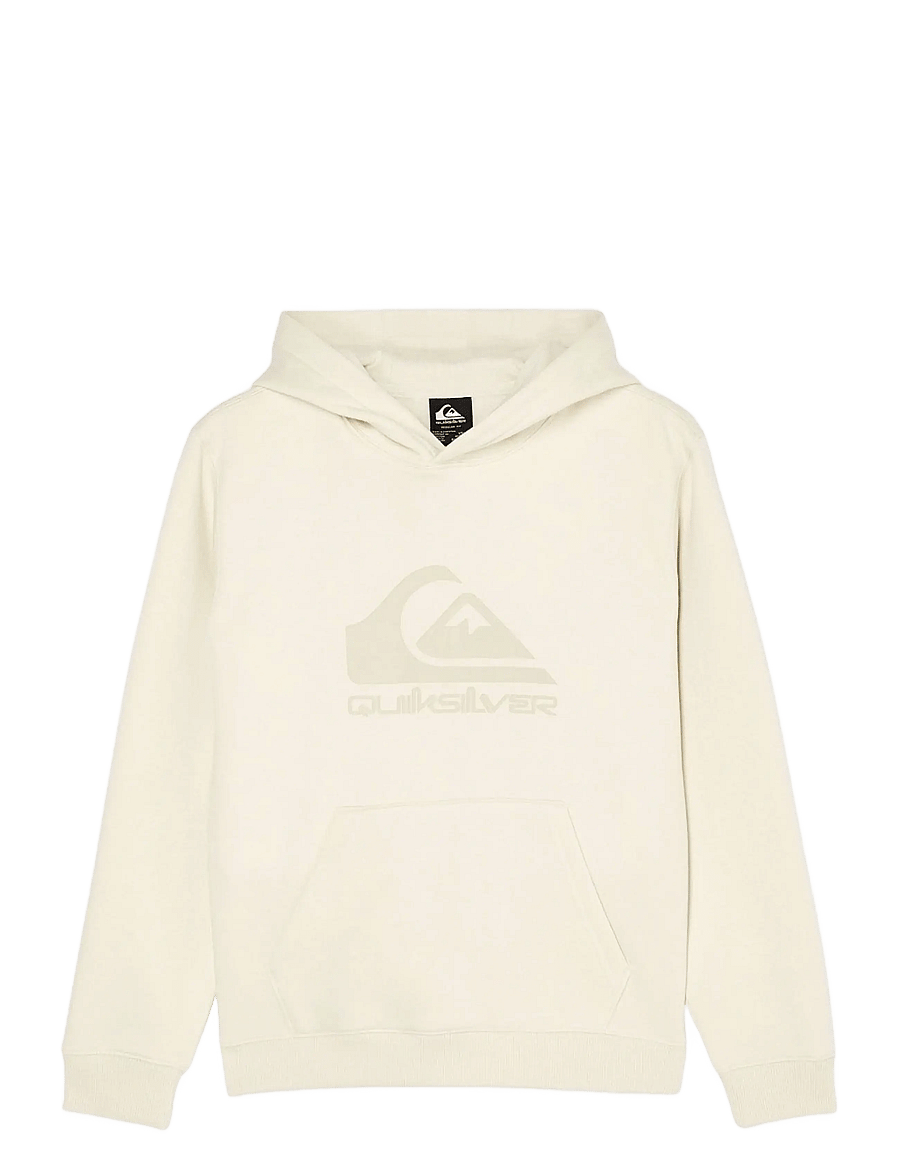 Quiksilver - COMP LOGO HOODIE YOUTH - kapuzenpullover - bone - 1