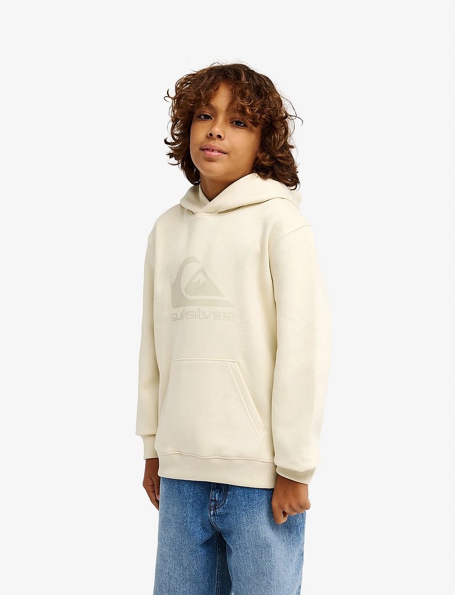 Quiksilver - COMP LOGO HOODIE YOUTH - kapuzenpullover - bone - 4