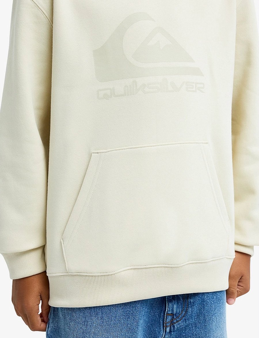 Quiksilver - COMP LOGO HOODIE YOUTH - kapuzenpullover - bone - 5