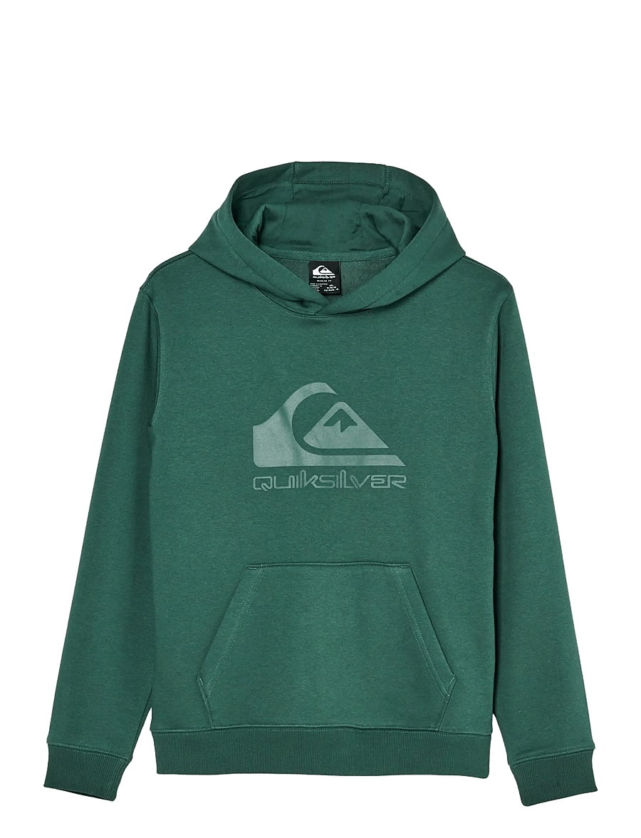 Quiksilver - COMP LOGO HOODIE YOUTH - kapuzenpullover - forest - 1