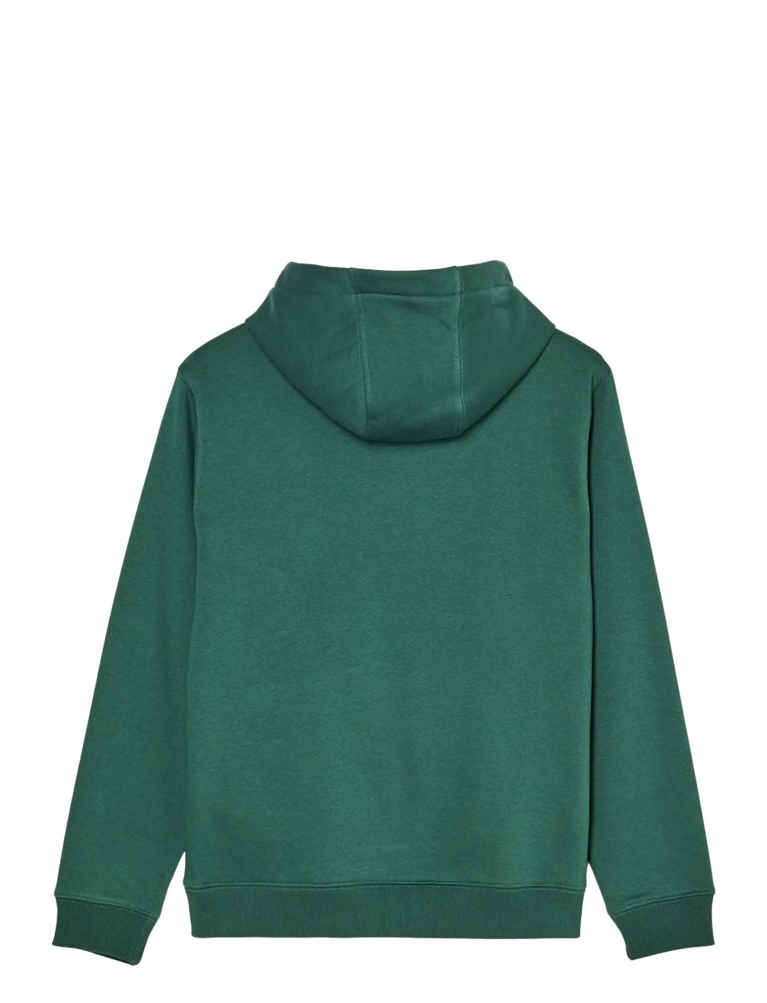 Quiksilver - COMP LOGO HOODIE YOUTH - kapuzenpullover - forest - 2
