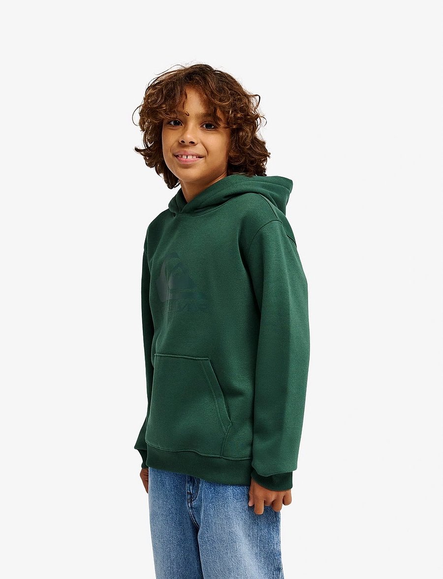Quiksilver - COMP LOGO HOODIE YOUTH - kapuzenpullover - forest - 3