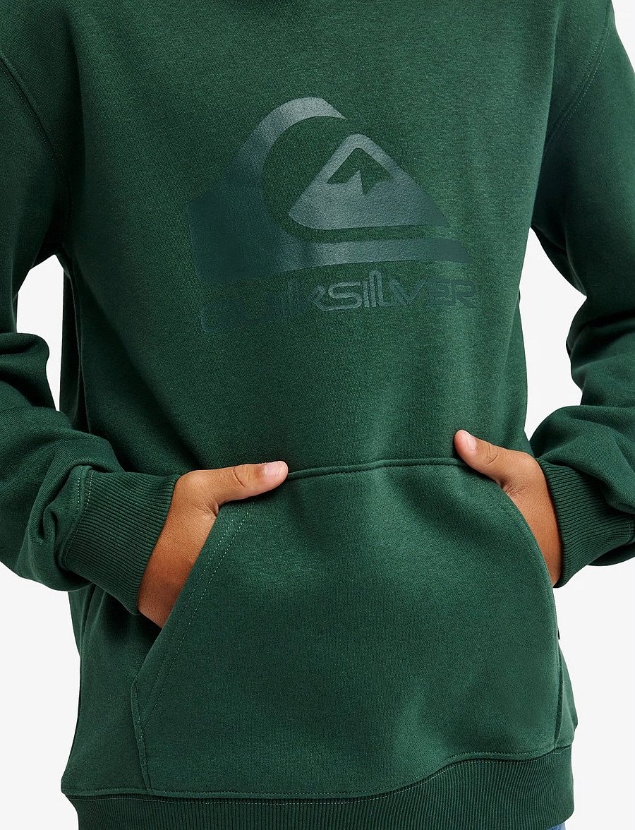Quiksilver - COMP LOGO HOODIE YOUTH - kapuzenpullover - forest - 5