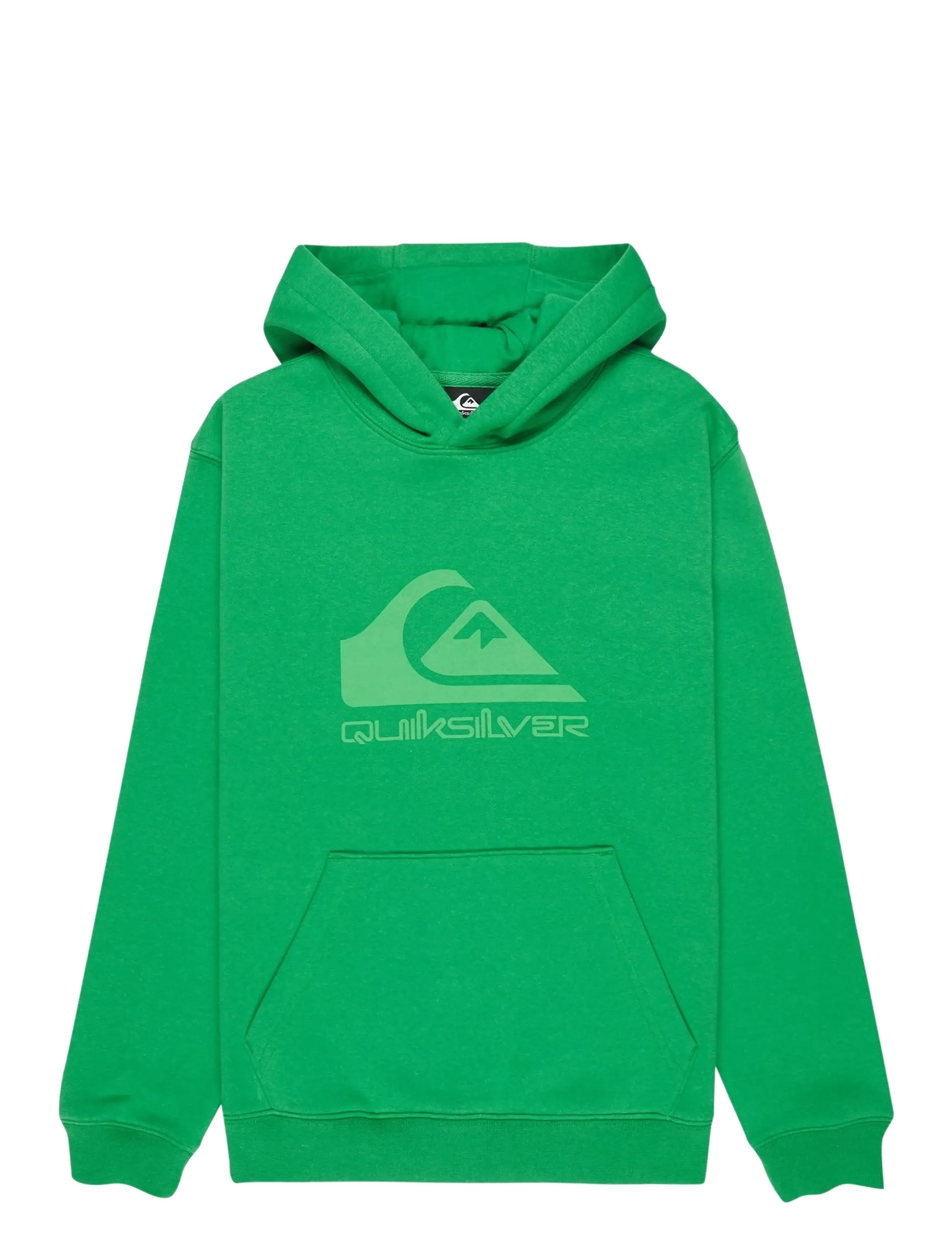 Quiksilver COMP LOGO HOODIE YOUTH - Quiksilver - LEPRECHAUN / green