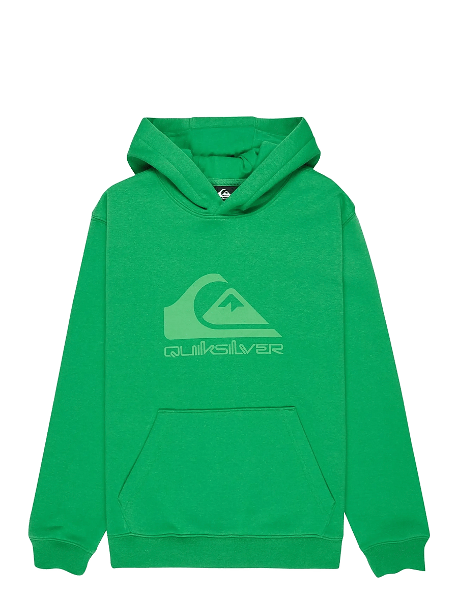 Quiksilver - COMP LOGO HOODIE YOUTH - kapuzenpullover - leprechaun - 1