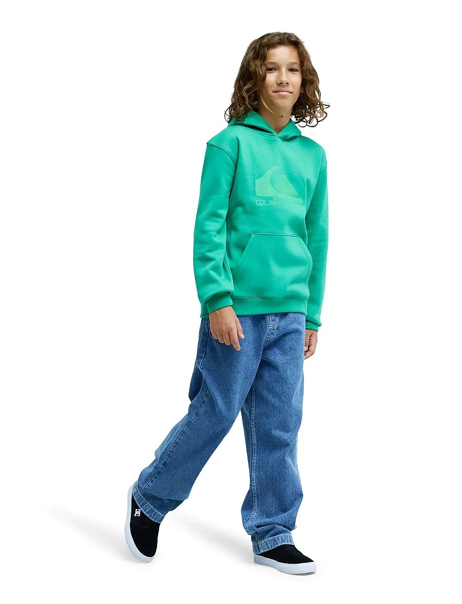 Quiksilver - COMP LOGO HOODIE YOUTH - kapuzenpullover - leprechaun - 4