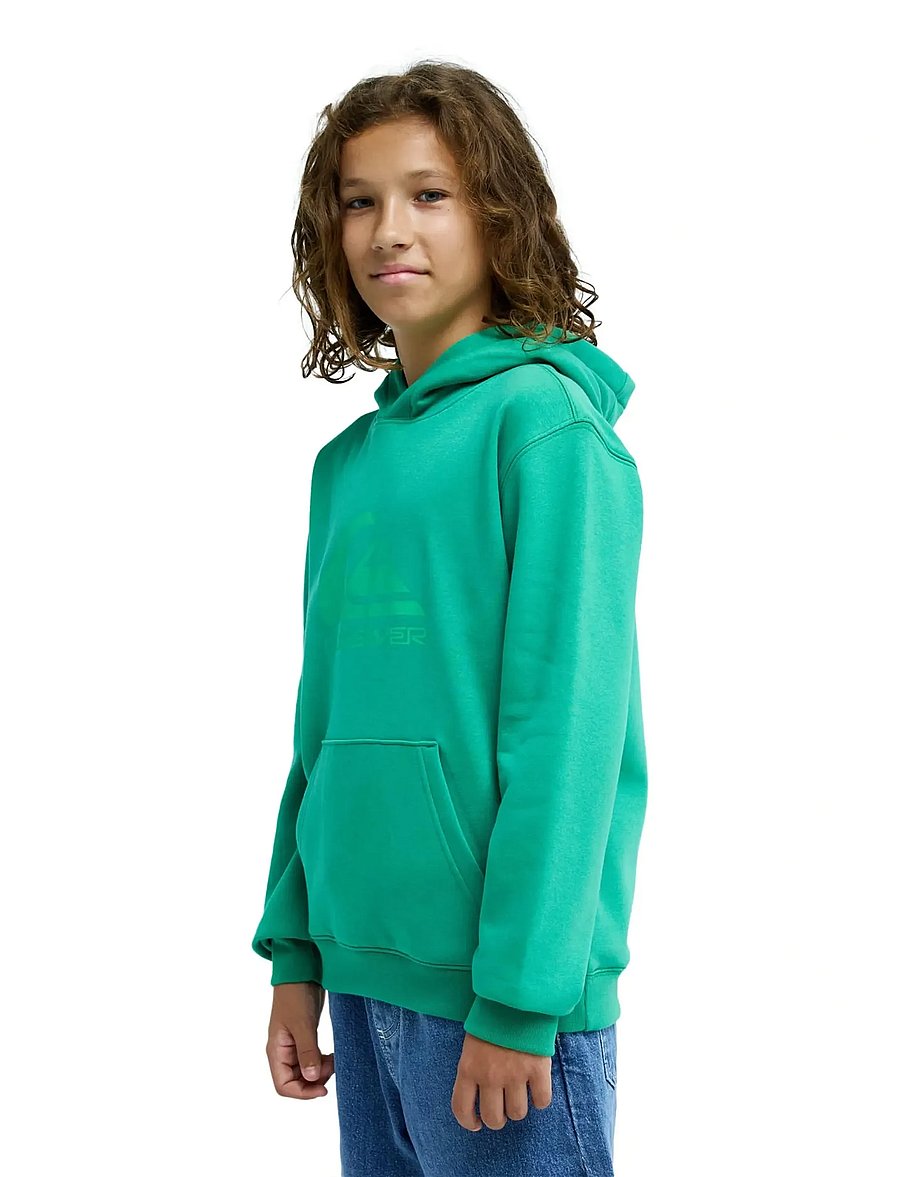 Quiksilver - COMP LOGO HOODIE YOUTH - kapuzenpullover - leprechaun - 5