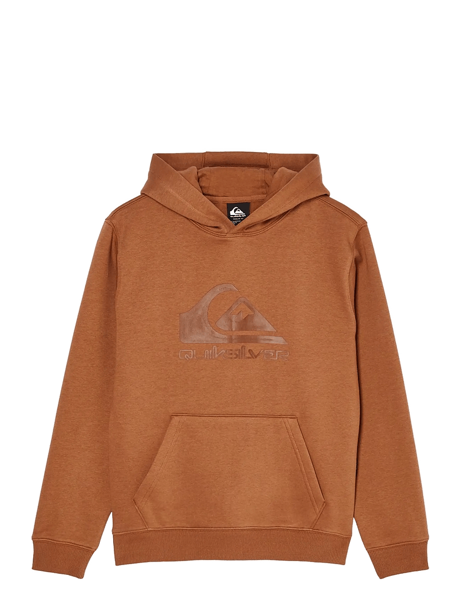 Quiksilver - COMP LOGO HOODIE YOUTH - kapuzenpullover - rawhide - 1