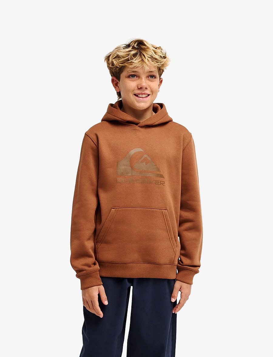 Quiksilver - COMP LOGO HOODIE YOUTH - kapuzenpullover - rawhide - 0