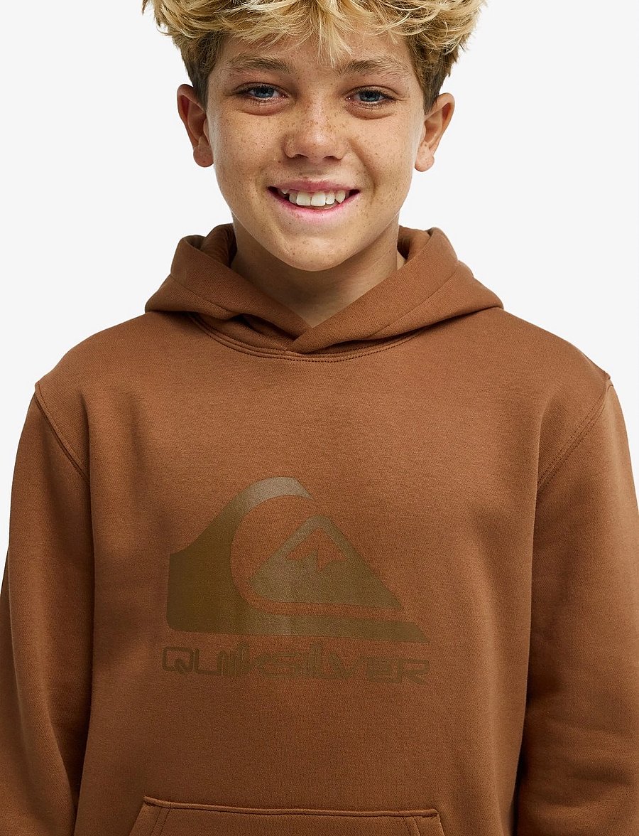 Quiksilver - COMP LOGO HOODIE YOUTH - kapuzenpullover - rawhide - 5