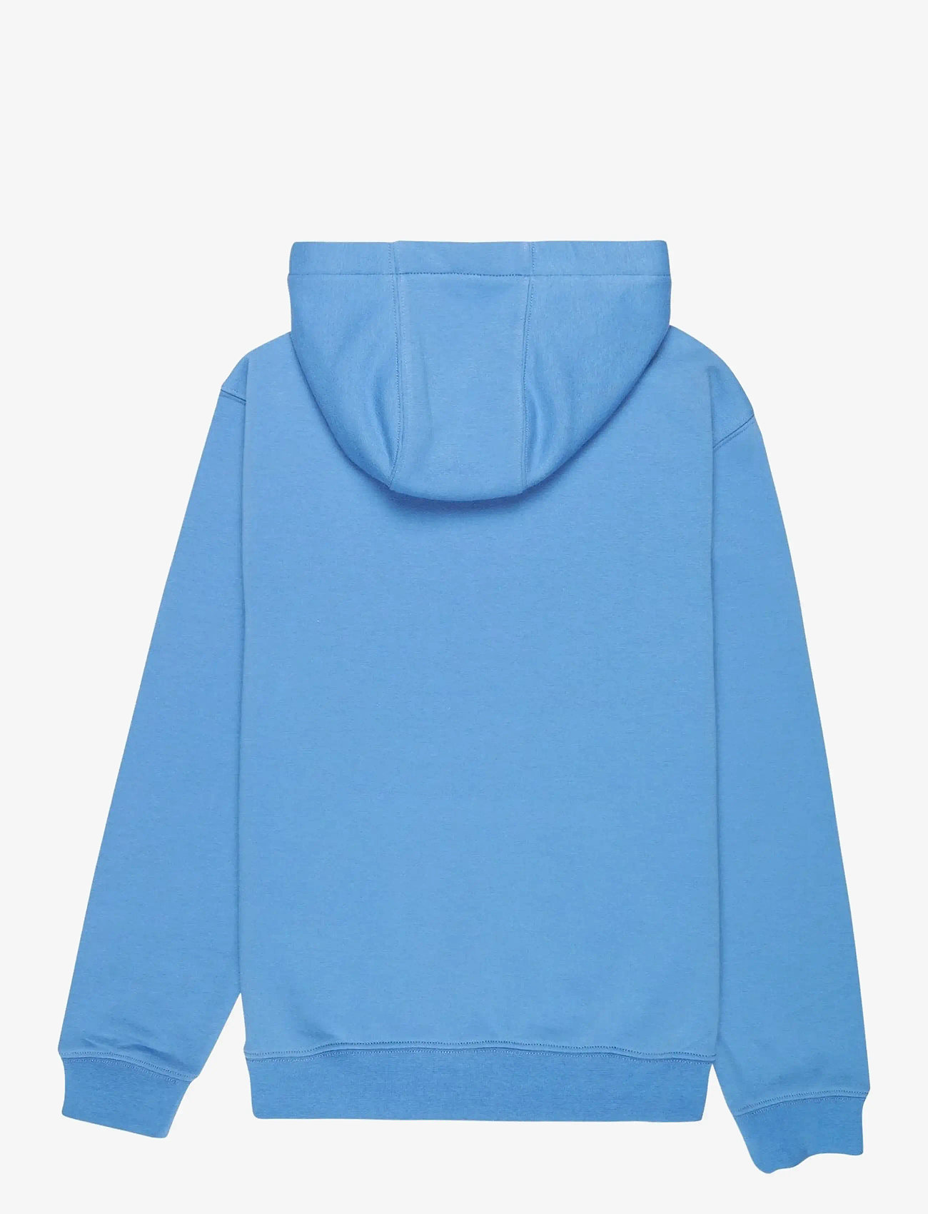 Quiksilver - COMP LOGO HOODIE YOUTH - hoodies - riviera - 1