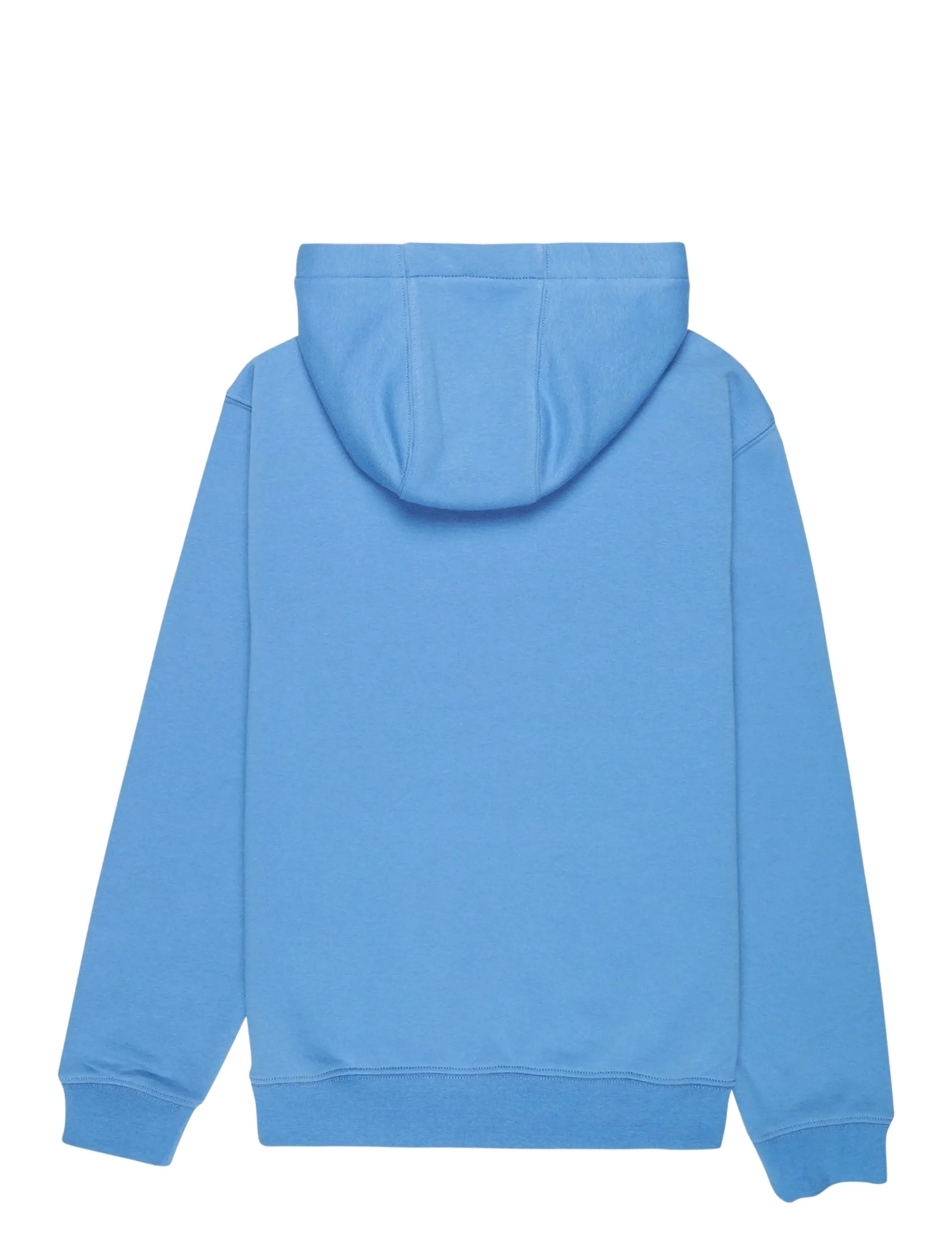 Quiksilver - COMP LOGO HOODIE YOUTH - kapuutsiga dressipluusid - riviera - 1