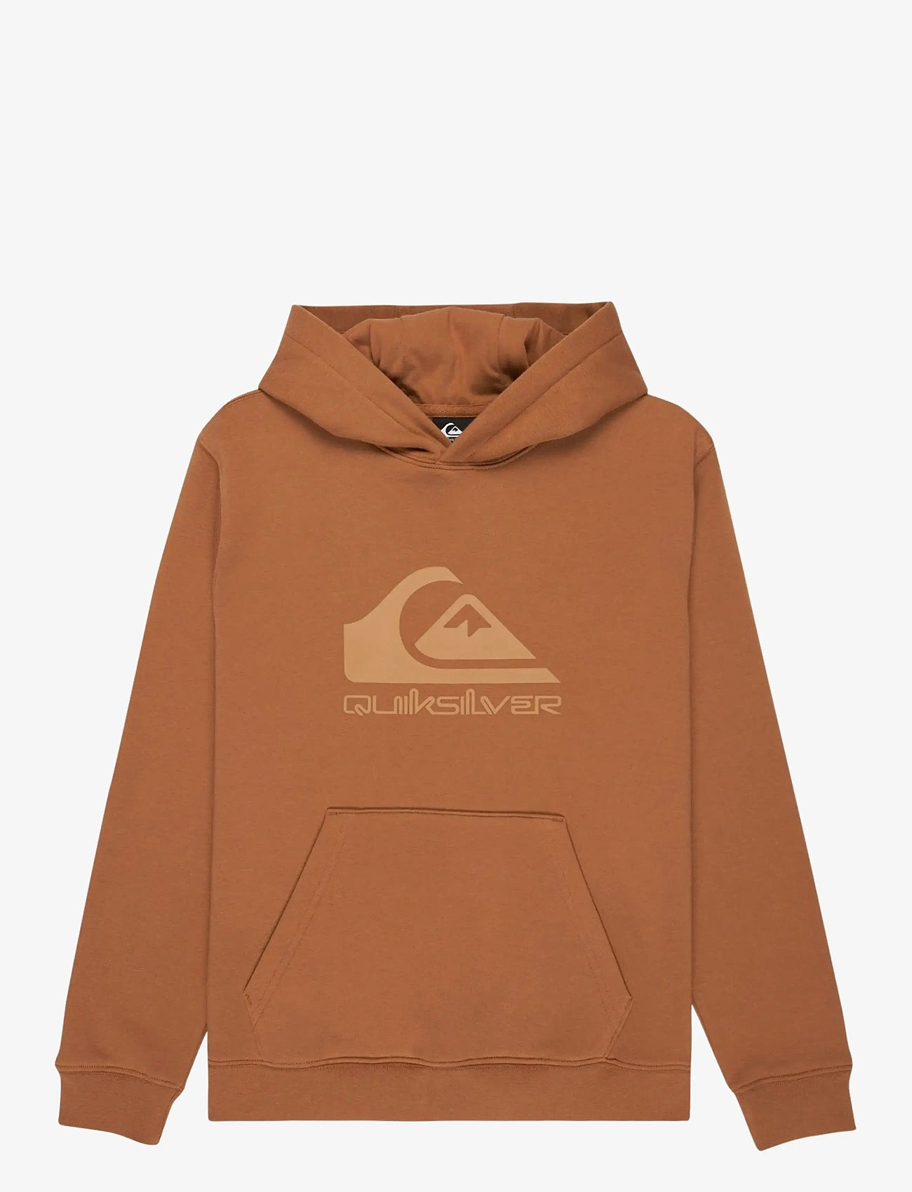 Quiksilver - COMP LOGO HOODIE YOUTH - kapuutsiga dressipluusid - tobacco brown - 1