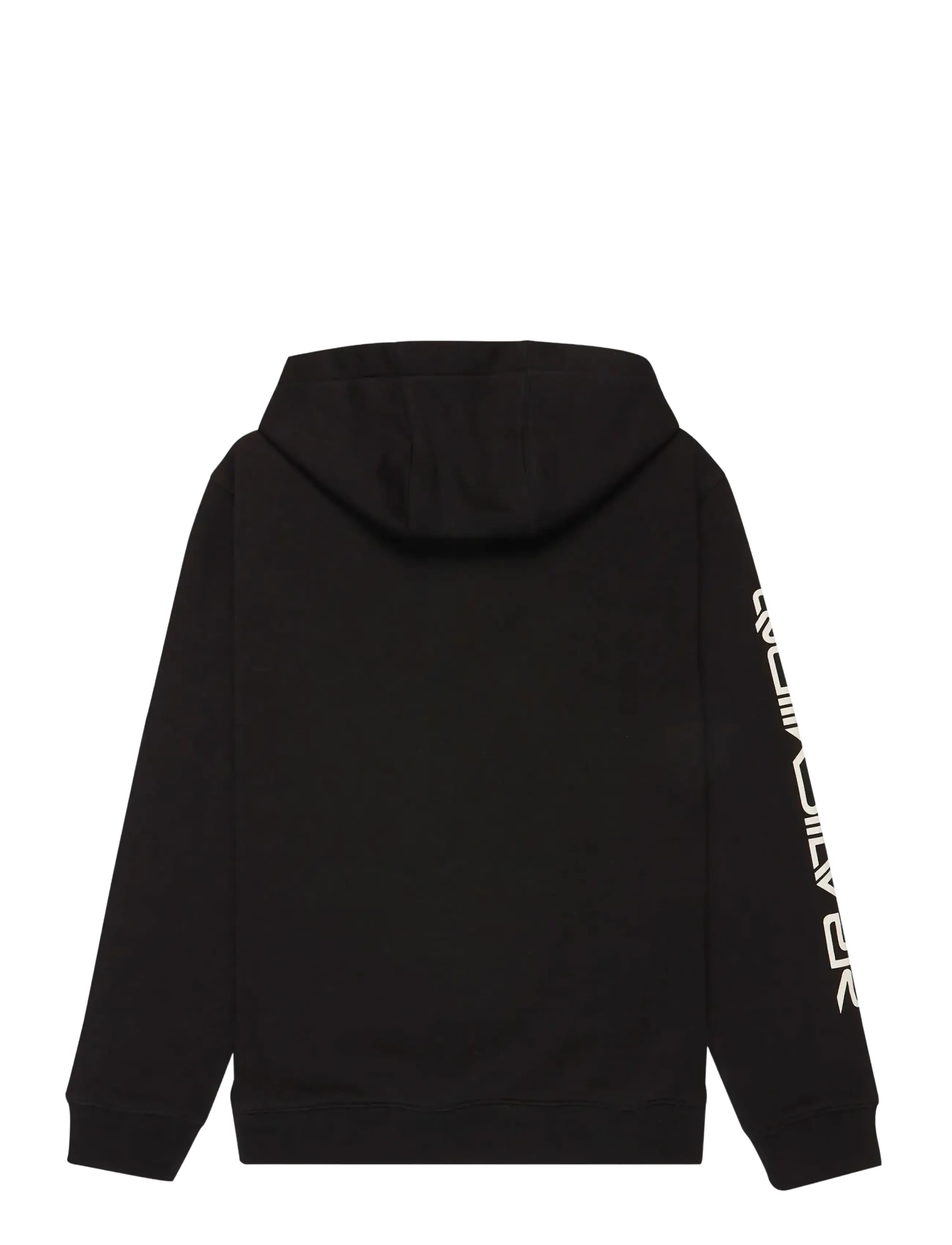 Quiksilver - OMNI LOGO HOODIE YOUTH - pulls à capuche - black - 2