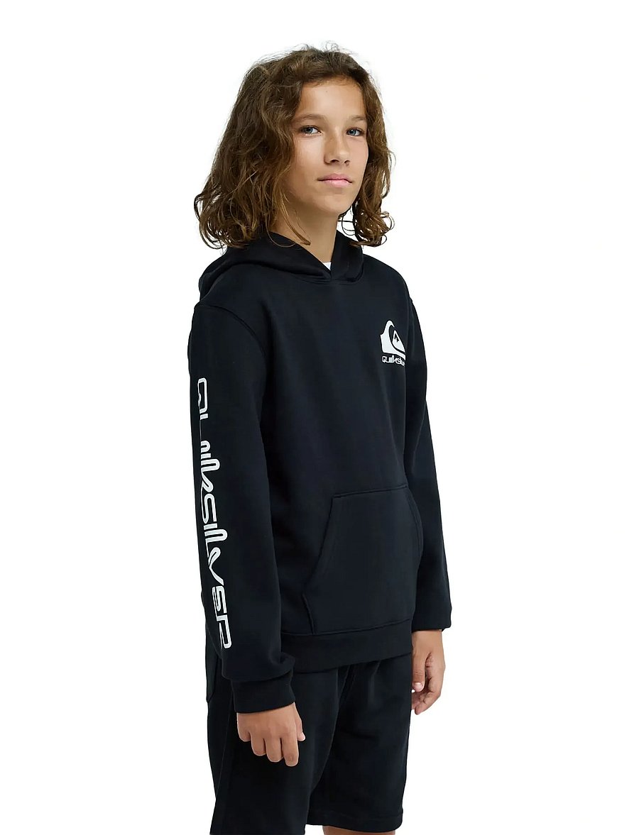 Quiksilver - OMNI LOGO HOODIE YOUTH - kapuzenpullover - black - 5