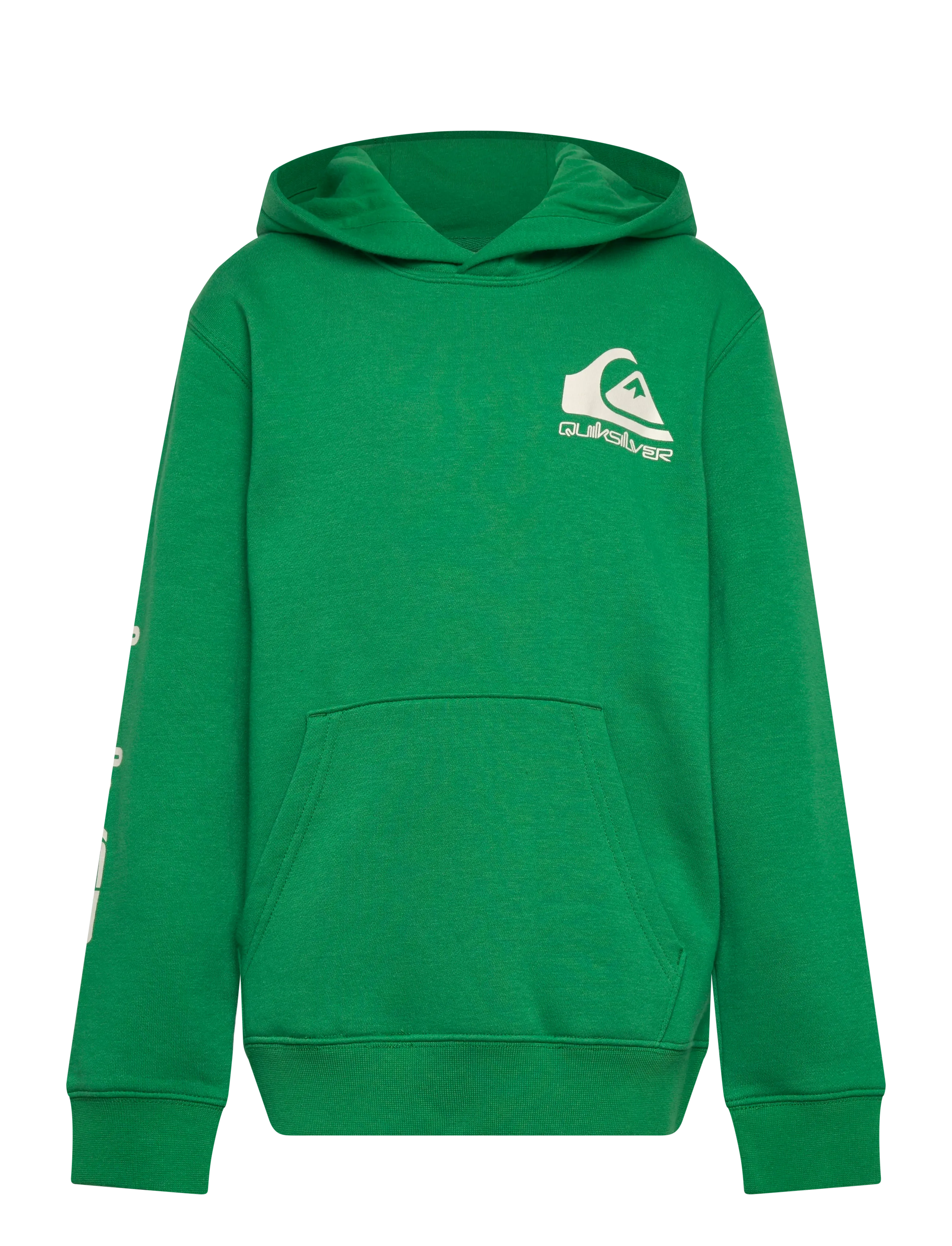 Quiksilver OMNI LOGO HOODIE YOUTH - Kampagne - LEPRECHAUN / green
