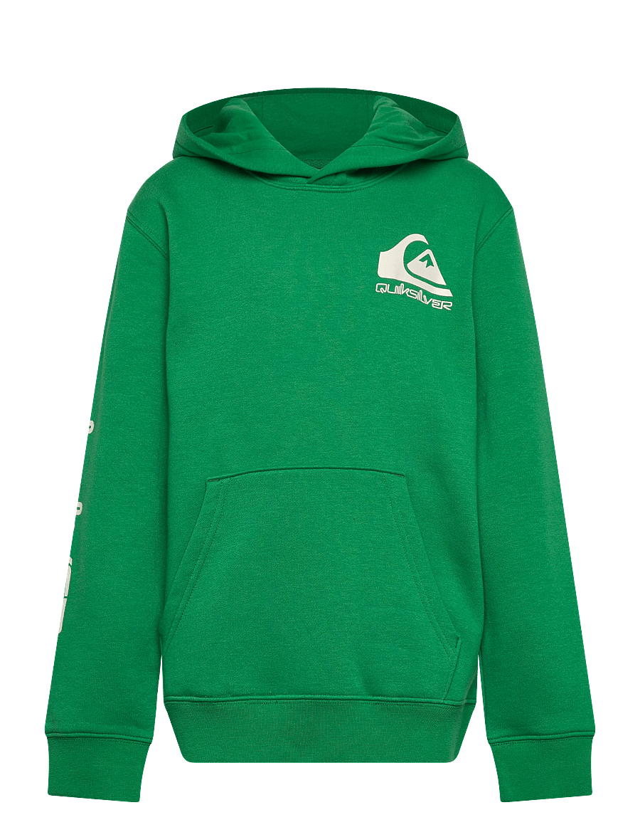 Quiksilver - OMNI LOGO HOODIE YOUTH - kapuzenpullover - leprechaun - 1