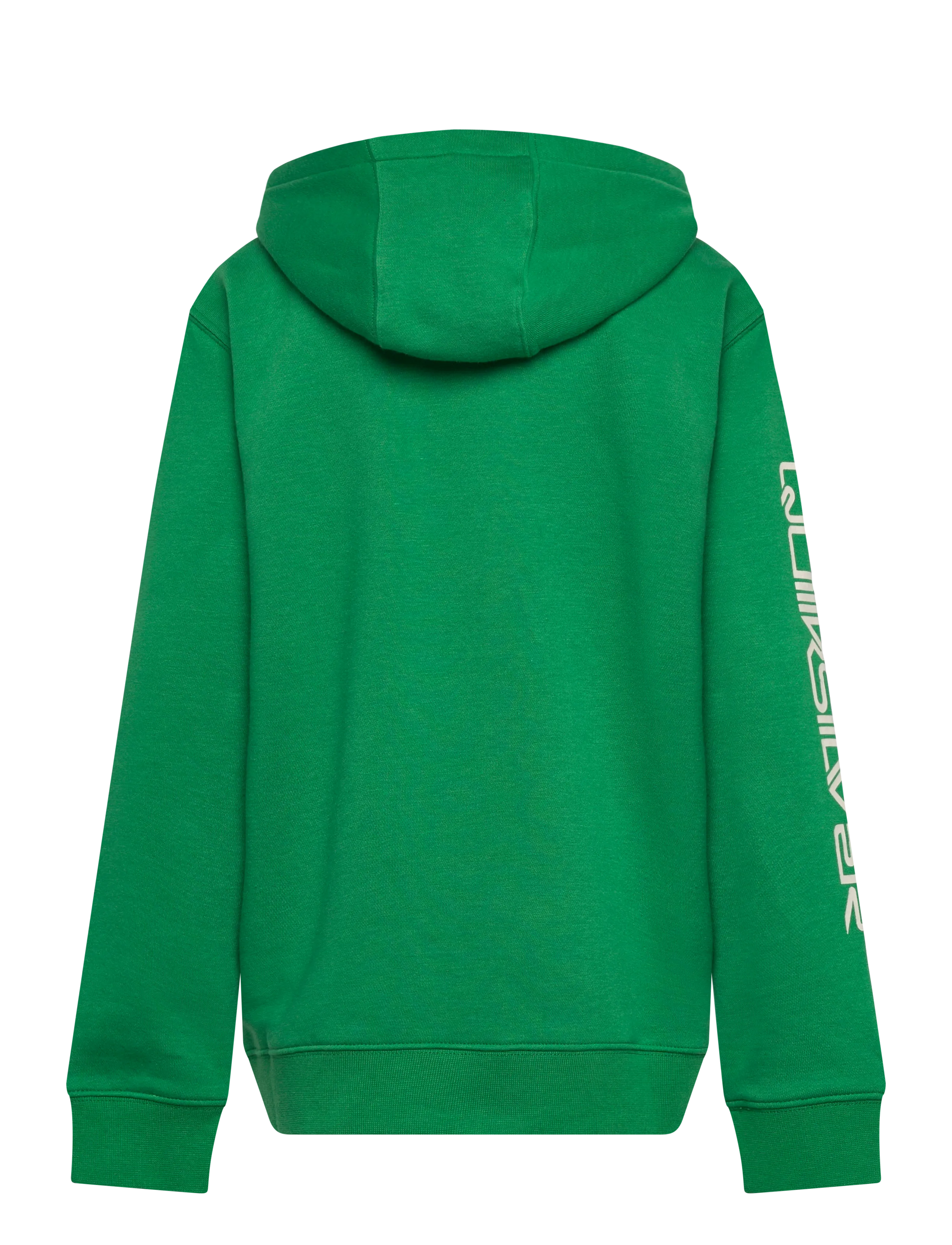 Quiksilver - OMNI LOGO HOODIE YOUTH - pulls à capuche - leprechaun - 2