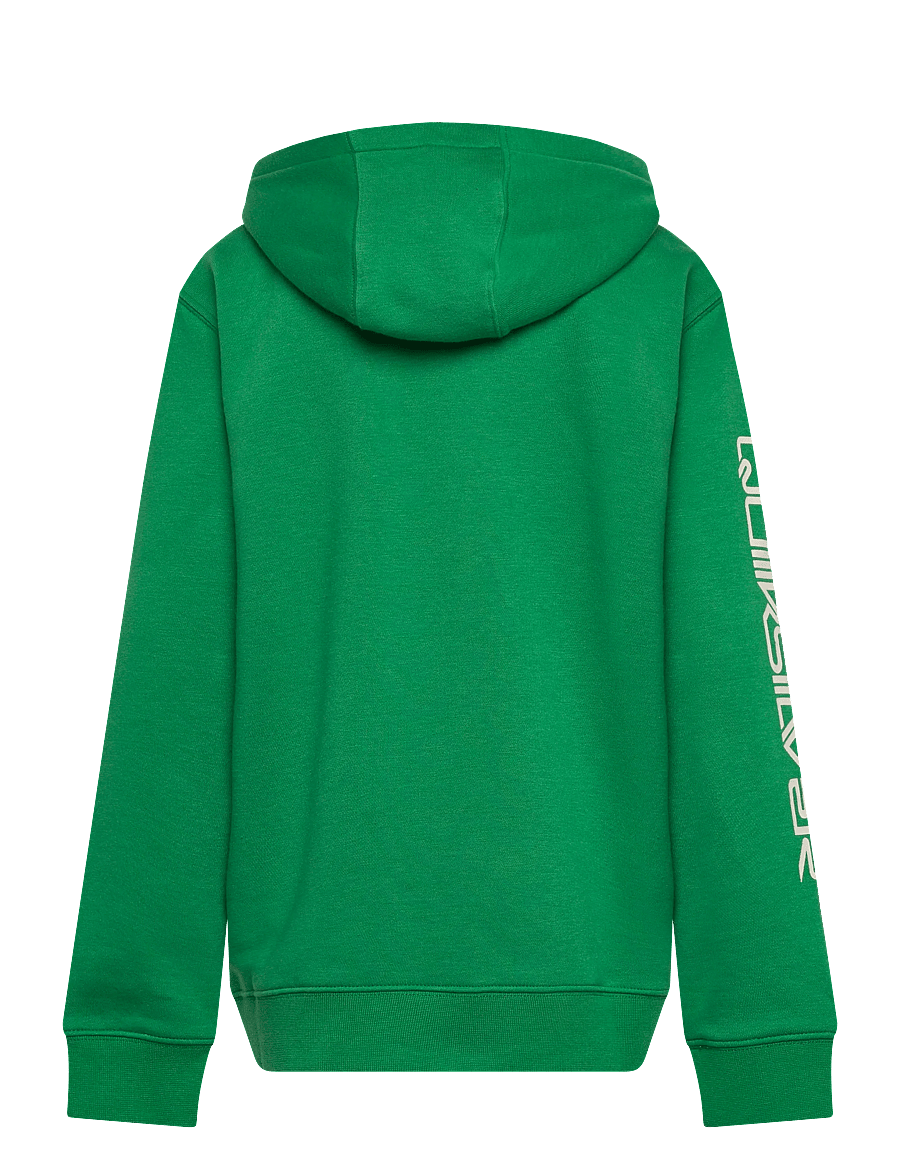 Quiksilver - OMNI LOGO HOODIE YOUTH - kapuzenpullover - leprechaun - 2