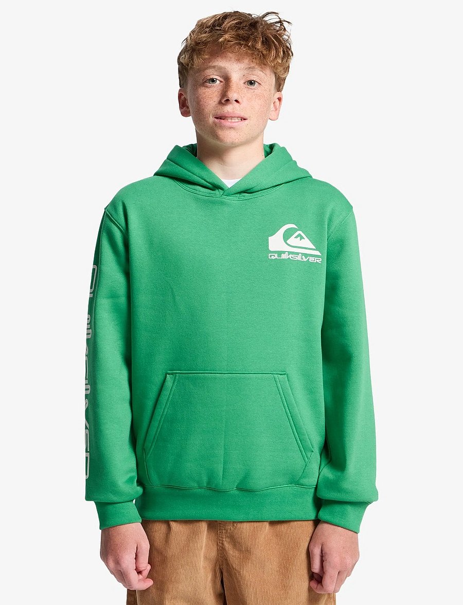 Quiksilver - OMNI LOGO HOODIE YOUTH - kapuzenpullover - leprechaun - 0