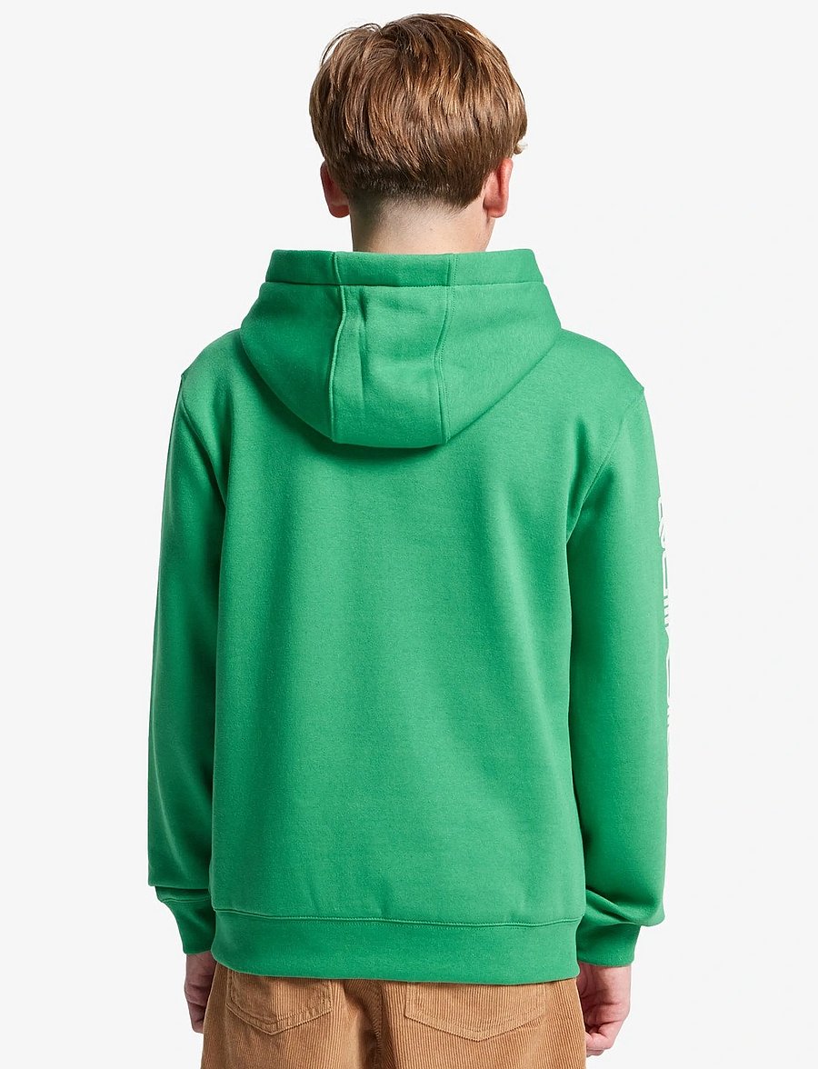 Quiksilver - OMNI LOGO HOODIE YOUTH - kapuzenpullover - leprechaun - 3