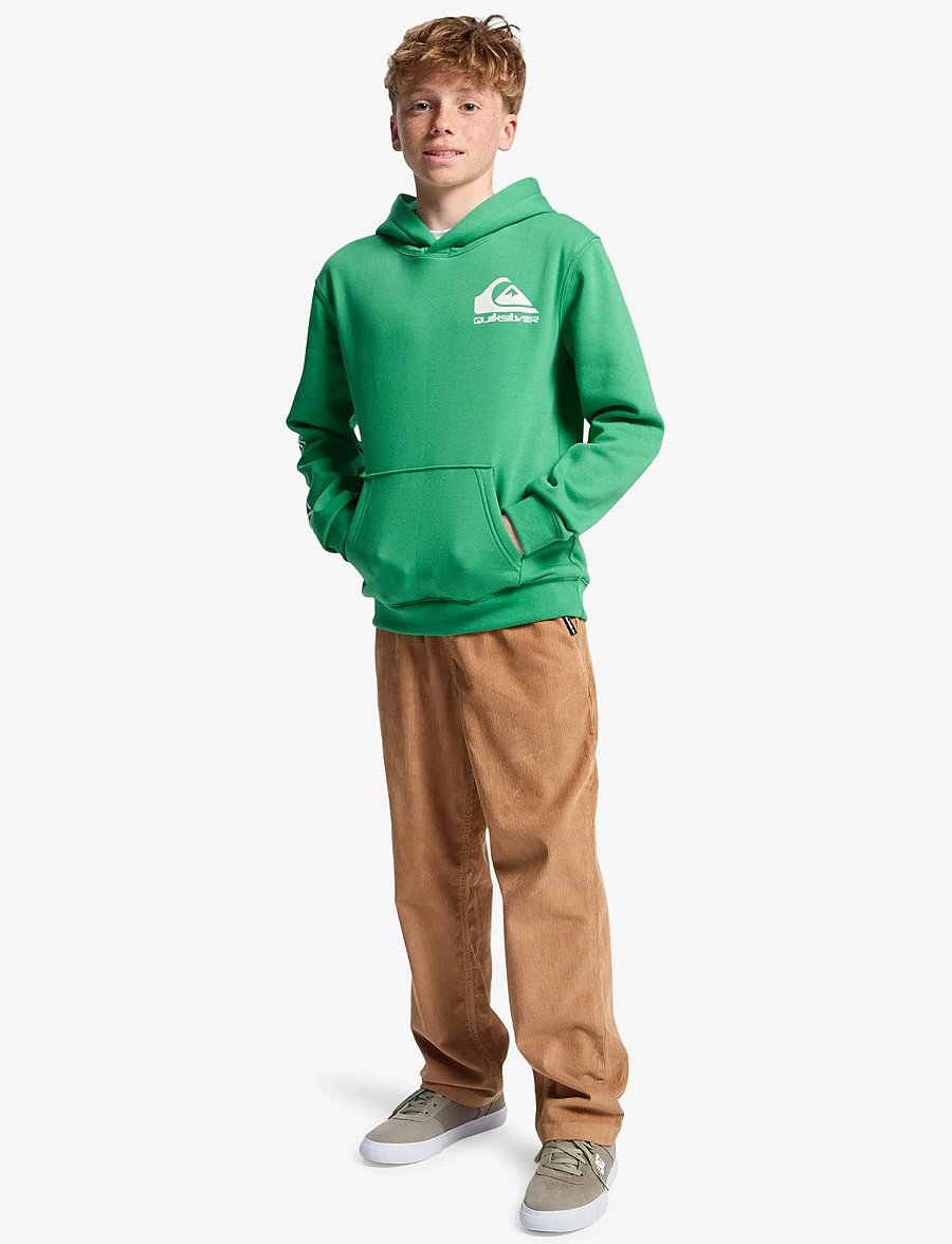 Quiksilver - OMNI LOGO HOODIE YOUTH - kapuzenpullover - leprechaun - 4