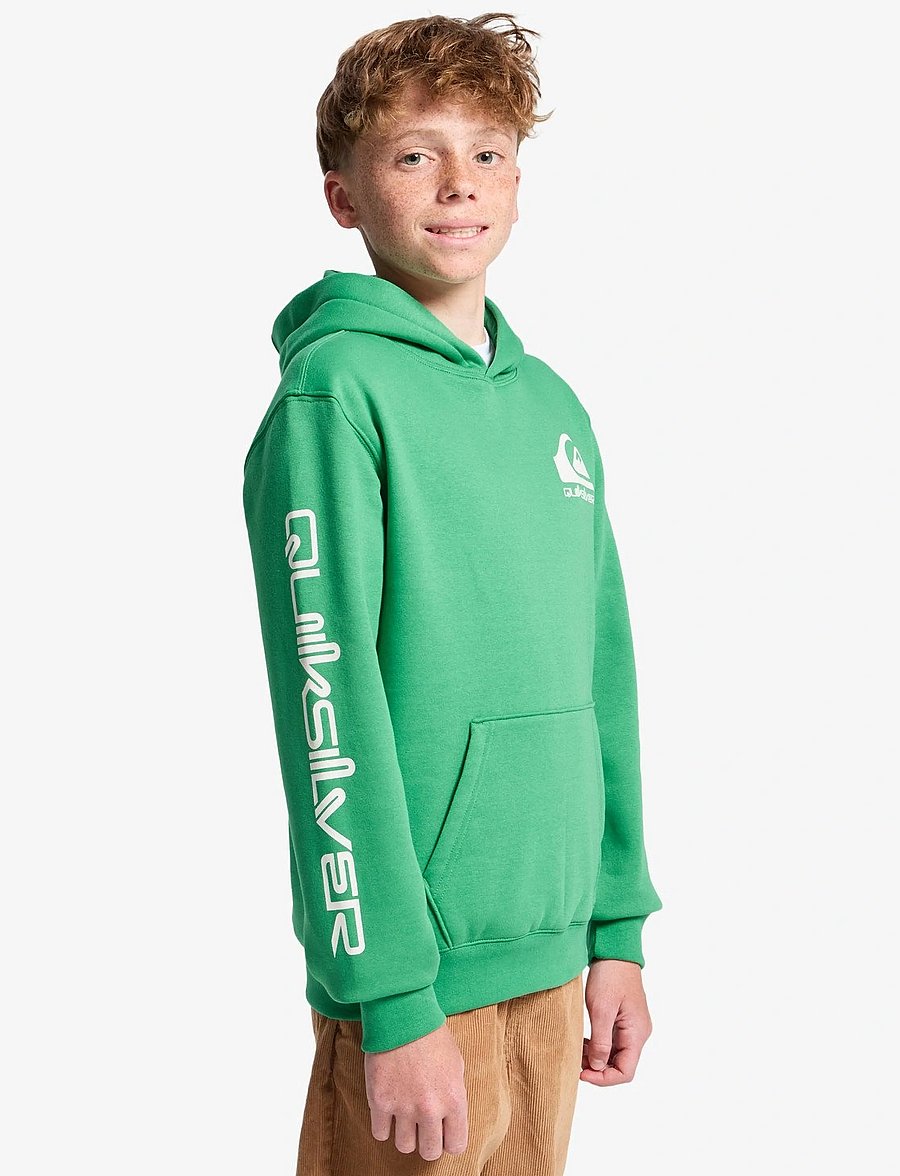Quiksilver - OMNI LOGO HOODIE YOUTH - kapuzenpullover - leprechaun - 5