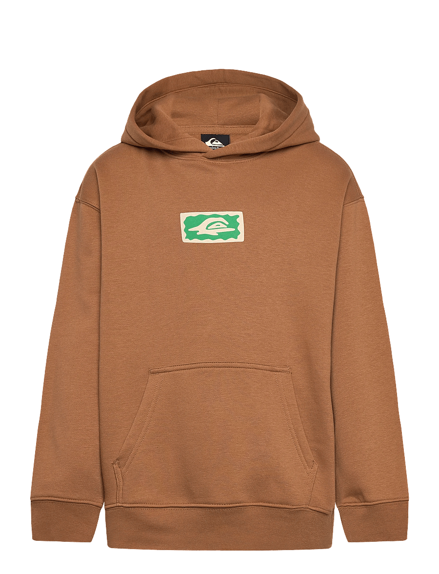 Quiksilver - GRAPHIC HERO HOODIE YOUTH - hettupeysur - tobacco brown - 1
